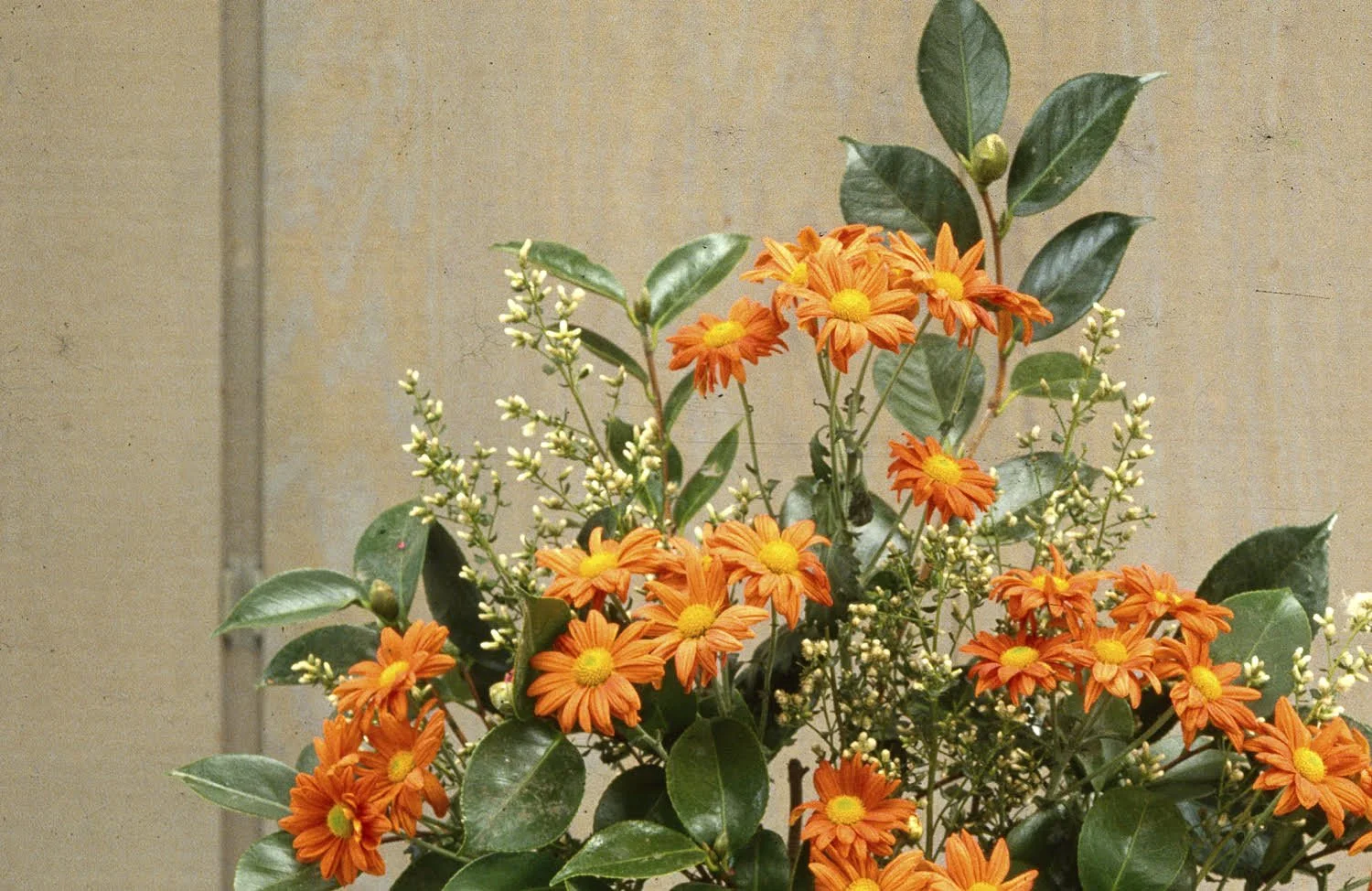 Featured image for “Et al.”