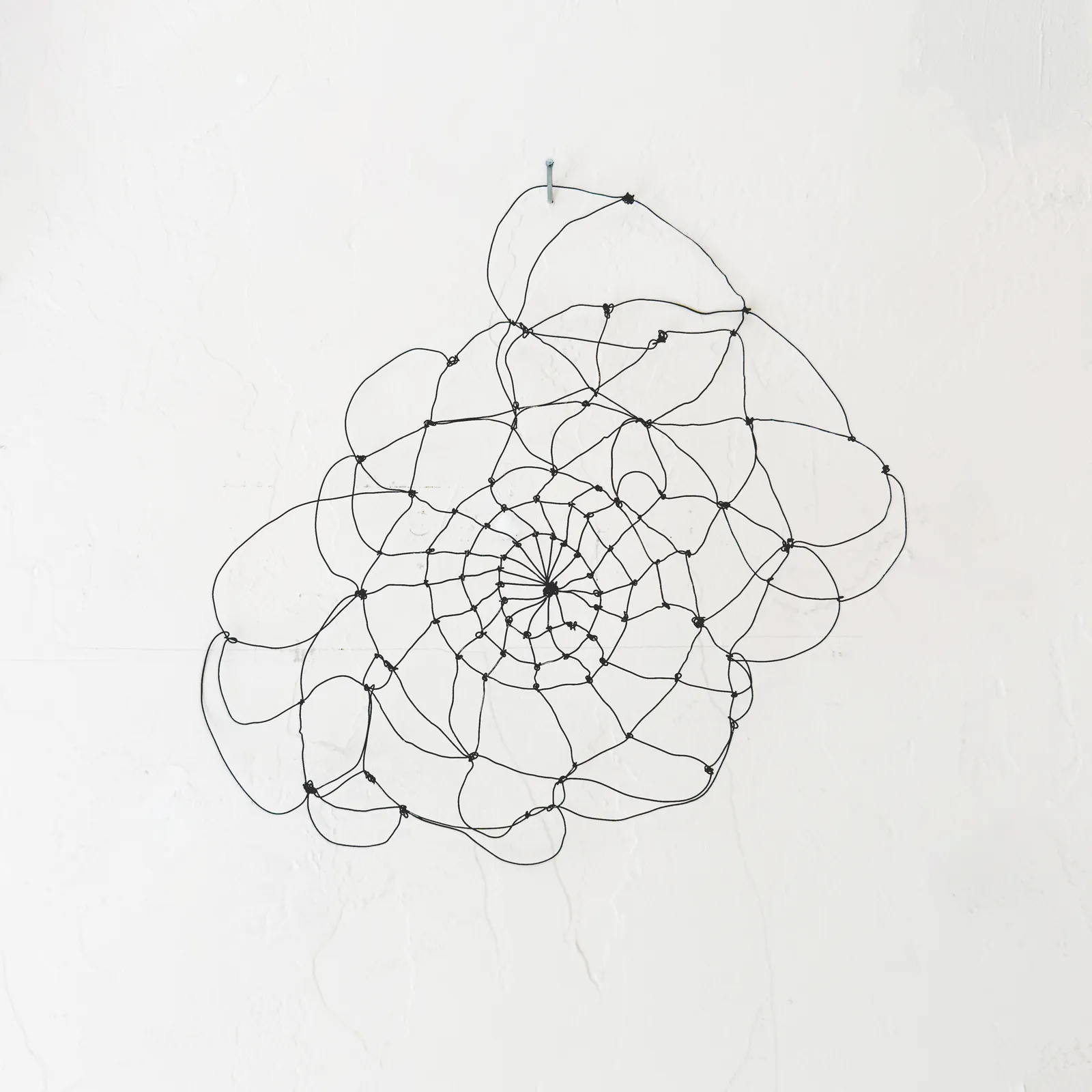 Featured image for “Chandler Gallery”