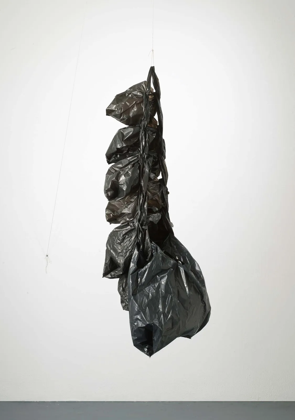 Featured image for “Rebecca Camacho Presents”