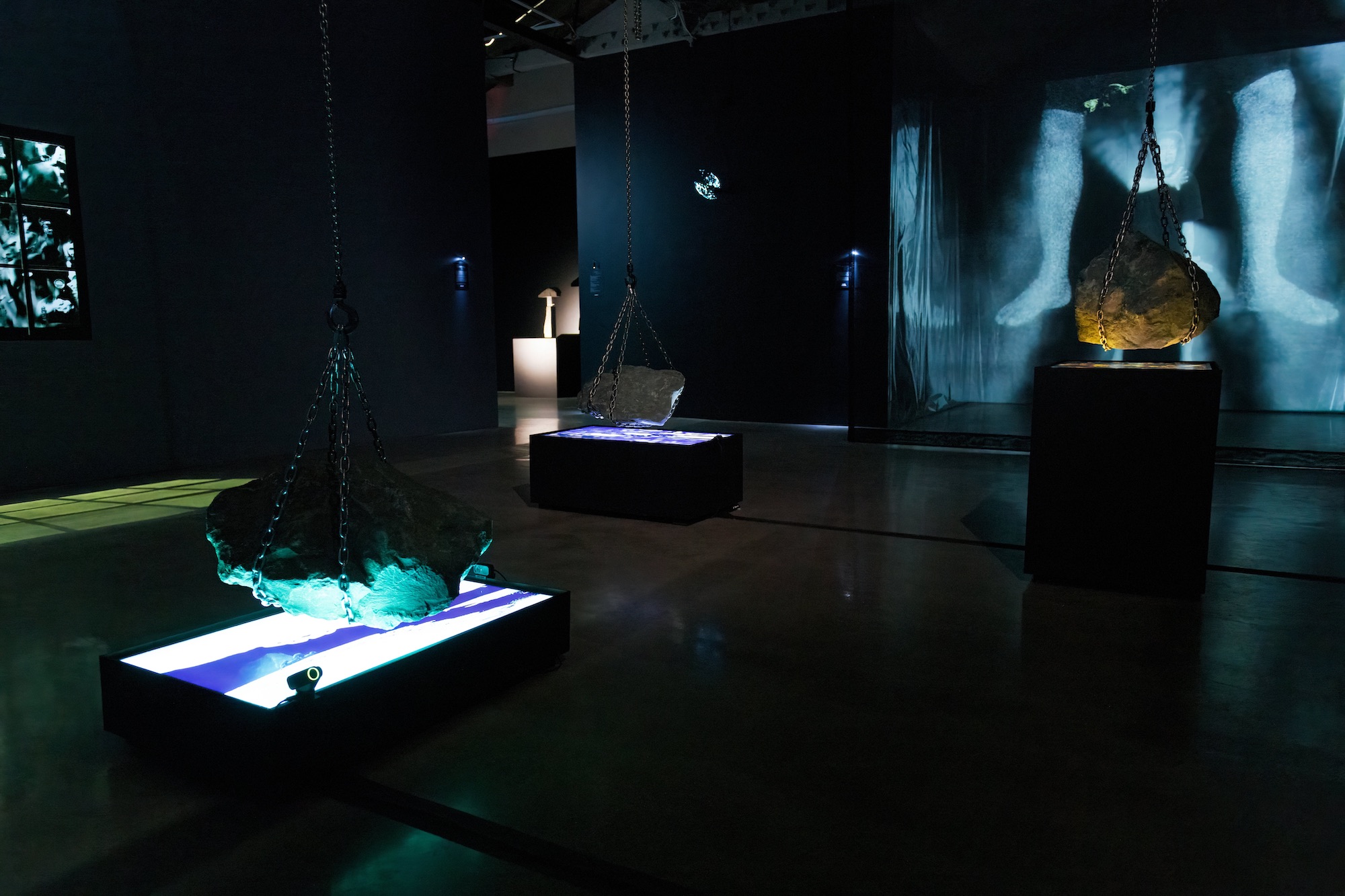 Installation view.